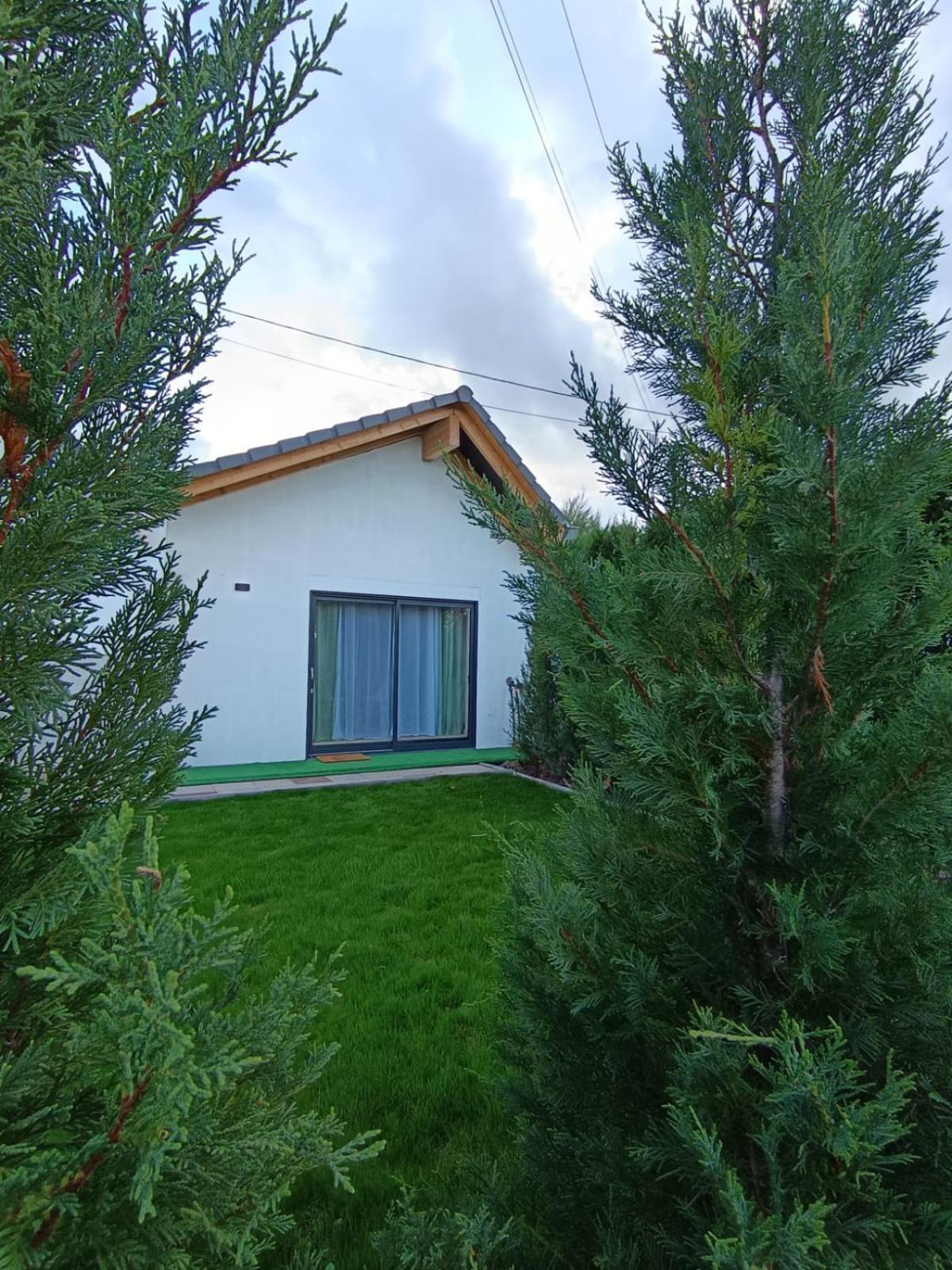 Apartment La De Shakespeare Mini-maison A Haguenau